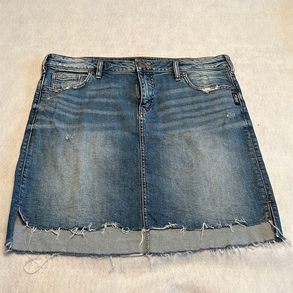 Silver Francy skirt .  Only worn a few times